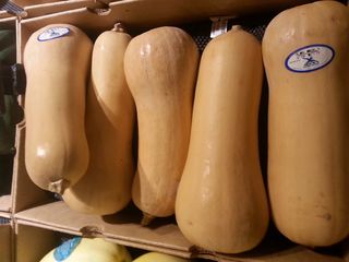 坚果、南瓜、储存、展示、棕色、蔬菜、食品、食品和饮料