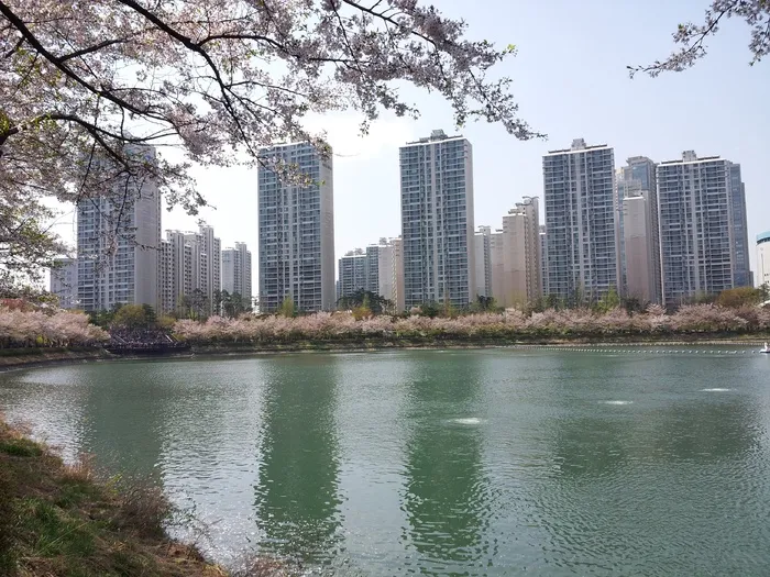 石村湖, 湖宫, 春天, beoc 花, 树, 水, 建筑外观, 城市