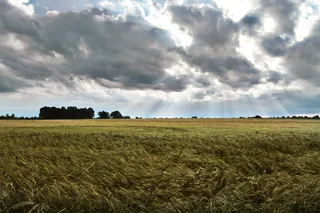 太阳，阳光，夏天，田野，波兰，天空，陆地，云天