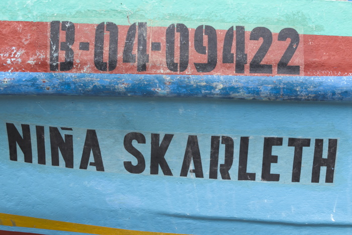 厄瓜多尔，洛佩兹港，船，渔民，天空，海洋，海洋，景观