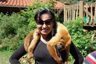 mono，女人，节日，快乐，太阳镜，眼镜，一个人，时尚