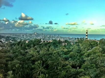 城市,自然,天空,多云,巴西,建筑,森林,丛林 城市,自然,天空,多云,巴西,建筑,森林,丛林