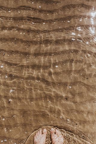 沙滩上的女性腿