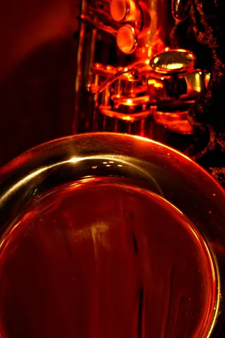 萨克斯管、男高音、扩音器、乐器、特写、铜管、铜管乐器、乐器