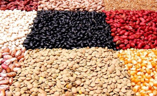 市场、食品、健康、厨房、蔬菜、饮食、维生素、素食者