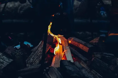 篝火,照片,火焰,夜间,火,火焰,木头,木头 篝火,照片,火焰,夜间,火,火焰,木头,木头