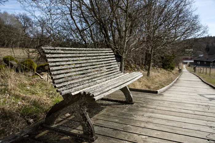 沙发，沙发，长凳，木头，旧的，苔藓，座椅，休息