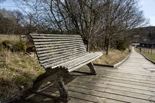 沙发，沙发，长凳，木头，旧的，苔藓，座椅，休息