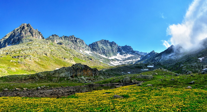 照片，草，山，土耳其，自然，景观，卡çkars，自然土耳其