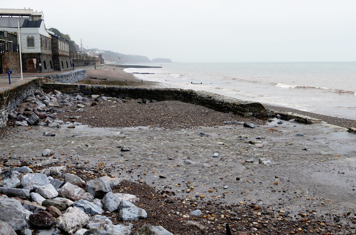 dawlish warren，德文郡，海滩，海岸，海滨，英国，沙滩，沃伦