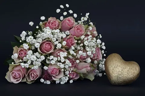 粉色,玫瑰,花朵,白色,花瓣状的花朵,玫瑰,玫瑰花,心 粉色,玫瑰,花朵,白色,花瓣状的花朵,玫瑰,玫瑰花,心
