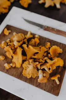 在树林里采蘑菇 在树林里采蘑菇