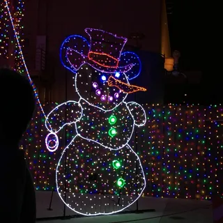 迪士尼, 奥斯本灯, 家庭, 乐趣, 照明, 装饰, 圣诞节, 庆典