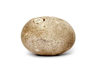 卵石、石头、鹅卵石、白色背景、镂空、摄影棚拍摄、单个物体、食物和饮料