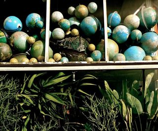 地图、自然、地球、行星、植物、窗户、旧的、可持续的