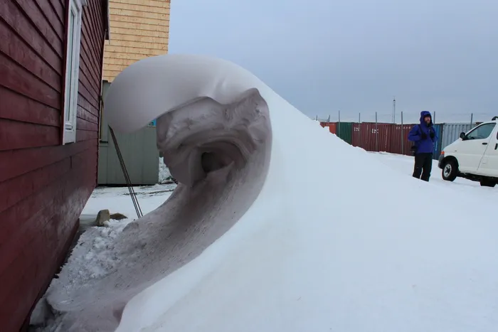 雪，风，北极，斯瓦尔巴特群岛，挪威，雪堆，自然，冬天
