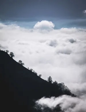 伊朗，菲尔班德，冒险，地球母亲，艺术，无鞭笞，自然，自然母亲