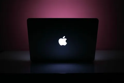 MacBook Pro 在粉红之夜