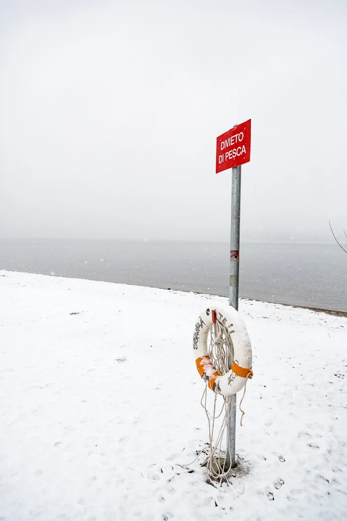 白色和黄色汽车浮标