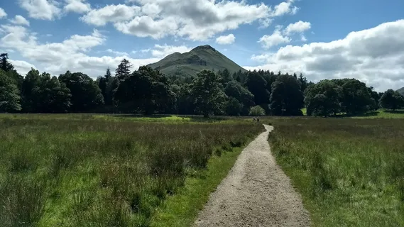 猫铃,湖区,伐木,夏天,植物,树,天空,云天 猫铃,湖区,伐木,夏天,植物,树,天空,云天