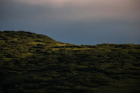 航空,摄影,绿色,山,照片,树,覆盖,树 航空,摄影,绿色,山,照片,树,覆盖,树