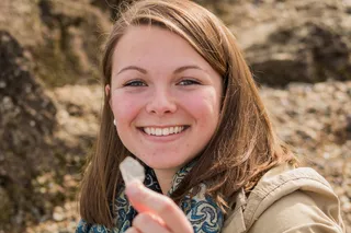 布里斯托尔，美国，石头，贝壳，贝壳，时尚，海洋，海滩