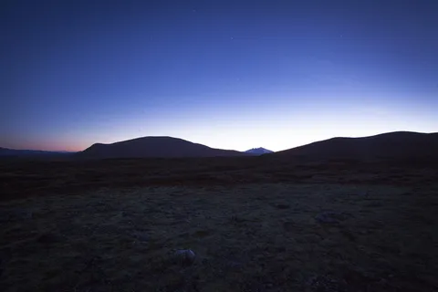 深，树，蓝色，紫色，粉色，黄色，星星，星星