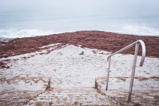 法国、布列塔尼、西部、雾、海藻、小路、红色、沙子