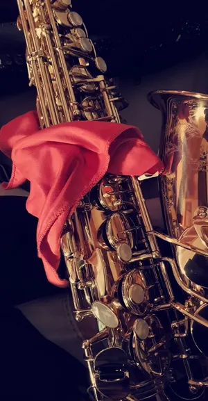 萨克斯管，柳泽，乐器，管乐器，乐器，关闭，铜管乐器，萨克斯管细节