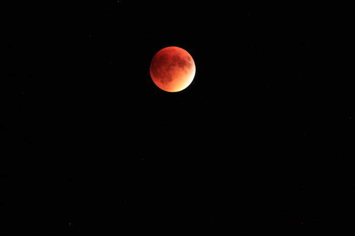 血月，背景，夜晚，月亮，星系，天文学，太空，行星