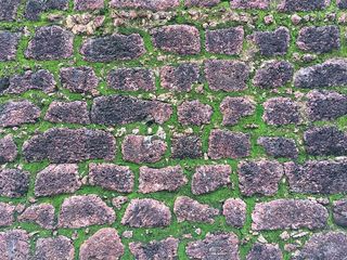 岩石、图案、草、地面、特写、立方体、地板、土壤