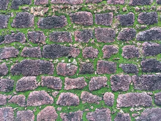 岩石、图案、草、地面、特写、立方体、地板、土壤