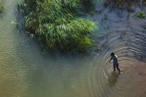 孤独，背景，海滩，巴拉塔河，明亮，多彩，概念，沉思