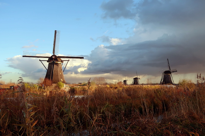 mill，kinderdijk，荷兰，荷兰，wicks，mills，wind mill，牧场