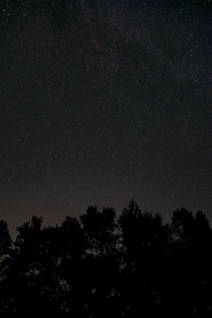 夜，黑暗，树木，阴影，星系，空间，星星，天空