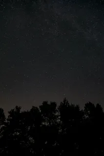 夜,黑暗,树木,阴影,星系,空间,星星,天空 夜,黑暗,树木,阴影,星系,空间,星星,天空