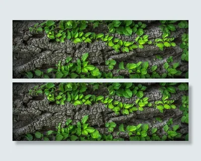 绿色,叶子植物,木材,纹理,树皮,植物,自然,表面 绿色,叶子植物,木材,纹理,树皮,植物,自然,表面