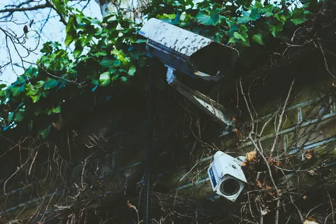 砖墙、摄像机、CCTV、肮脏、树叶、户外、植物、安全 砖墙、摄像机、CCTV、肮脏、树叶、户外、植物、安全