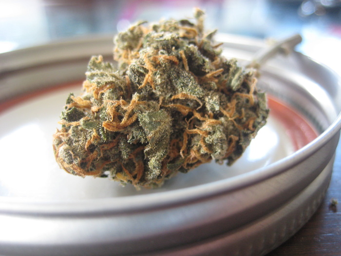 绿色都库什, 鲜花, 自然, 领导, 盛开, 绿色, 自然, 宏