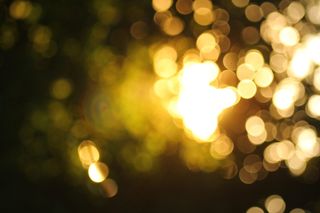 美国，林奇堡，自然，树木，阳光，模糊，波基，照明