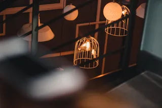 鸟笼里的两只鸟