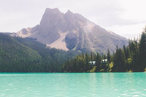 山和海，湖，蓝色，水，绿色，树木，植物，森林