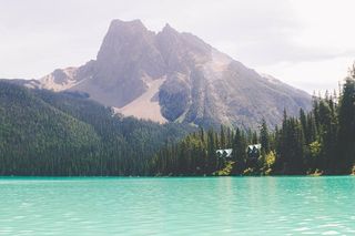 山和海，湖，蓝色，水，绿色，树木，植物，森林