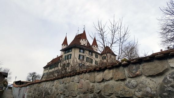 城堡，thun，山脉，schlossgarten，瑞士，湖泊，thun城堡，风景秀丽