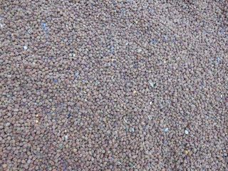 农民，达尔，食品，印度，蔬菜，全框架，背景，模式