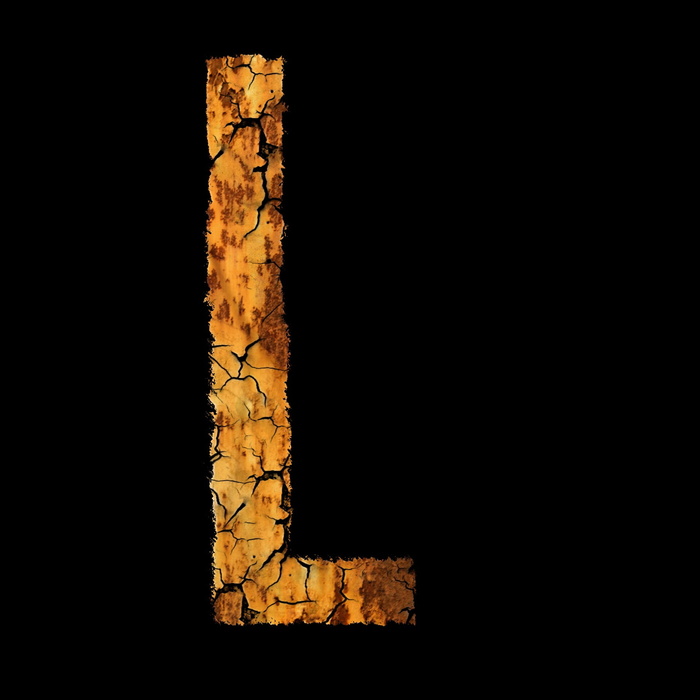 棕色，黑色，l字母，字母，不锈钢，字体，模块，l