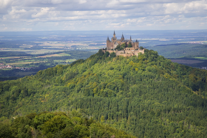 swabian alb，hohenzollern，hohenzollern castle，alb eaves，hechingen，eaves，castle，plant
