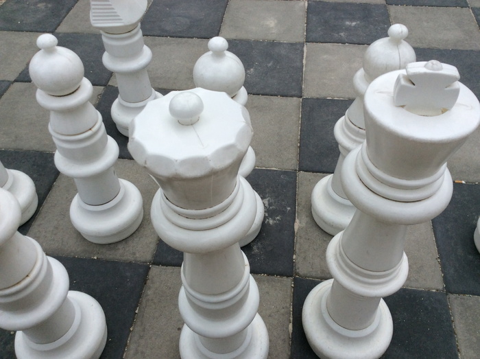 国际象棋、项目管理、招聘、发展、保护、领导、沟通、会议