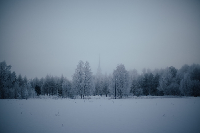 自然，风景，森林，树木，毯子，雪，雾，庄严