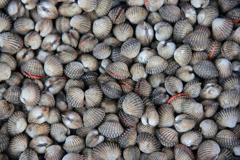 泰国，罗勇，cockles，海鲜，食物，海洋，自然，背景